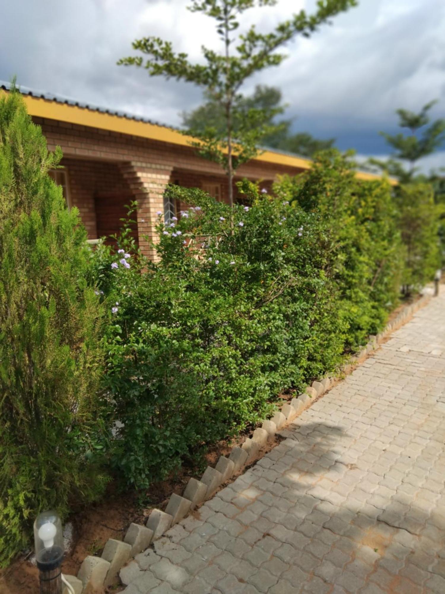 Sunshinevibe Guest House Kasane Exteriör bild